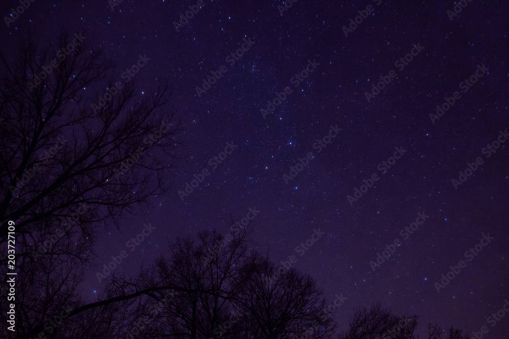 Naklejka premium The Night Sky is full of Constellations in Ottertail county in Central Minnesota