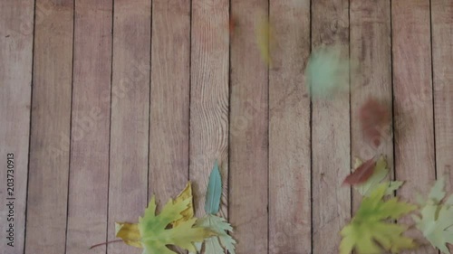 wind blows autumn into foliage on the wooden deck