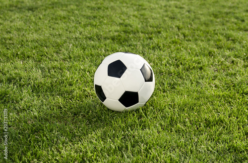 Soccer   football ball on green grass top view 