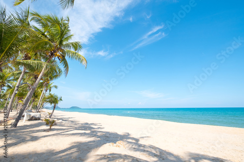 Landscape of coconut palm tree on tropical beach in summer. Summer background concept. © jakkapan
