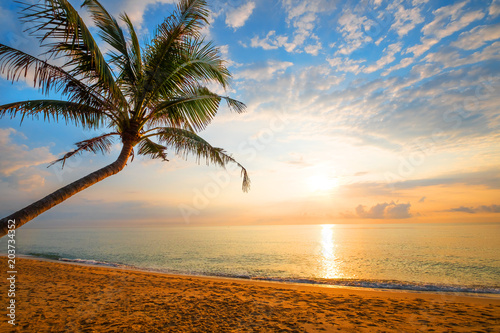 Fototapeta Naklejka Na Ścianę i Meble -  Seascape of beautiful tropical beach with palm tree at sunrise. sea view beach in summer background.