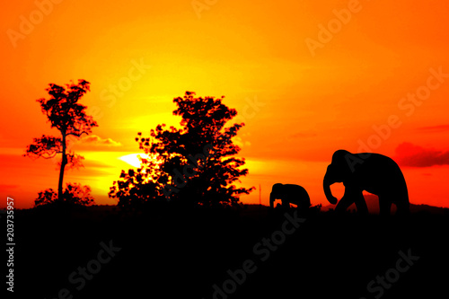 Fototapeta Naklejka Na Ścianę i Meble -  silhouette elephant family herd animals wildlife evacuate walking in twilight sunset beautiful background