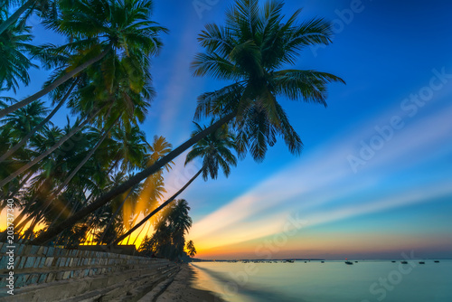 Sunrise on the tropical beach with sun rays piercing through the coconut palm trees in the sky creates beautiful scenery to welcome new days at paradise beach.