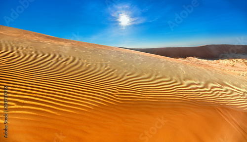The dawn scene in the golden sand hill in the summer morning when the sun is at the top  far away from the tiny human figure standing watching the sun pick up the new day.