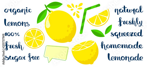 Set with flat style lemons