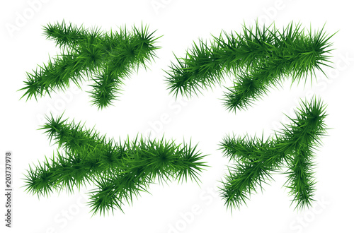 Set of fir branches. Symbol of New Year.