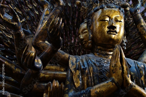 fragment of bronze Buddha statue with a lot of hands