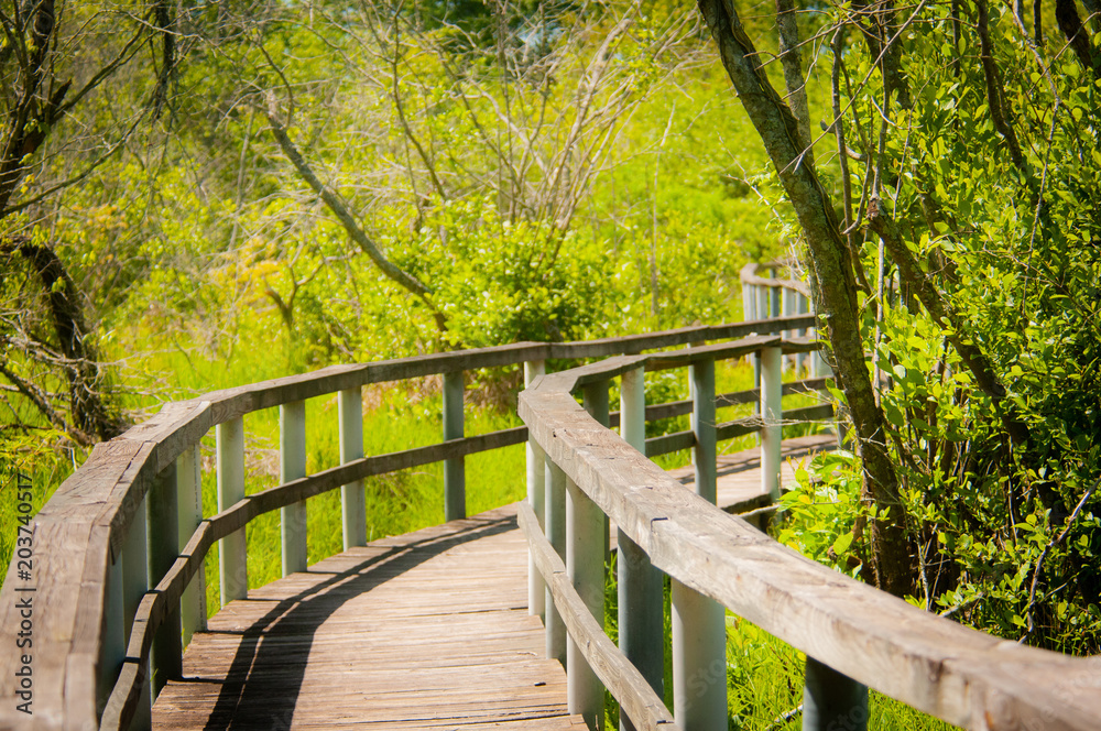 The Boardwalk at Alligator Creek Birding Trail - Piedmont Plateau