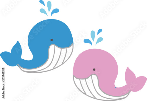 かわいいクジラのイラスト素材