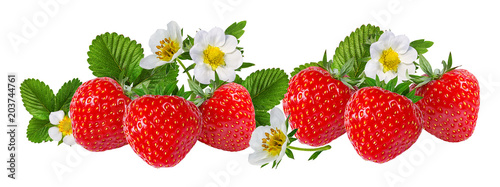 Fototapeta Naklejka Na Ścianę i Meble -  strawberry and strawberry flower isolated on white background