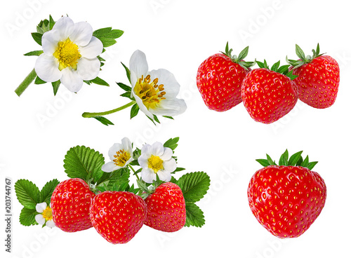 strawberry and strawberry flower isolated on white background