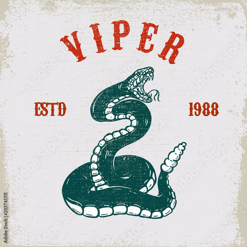 Viper snake illustration on grunge background. Design element for poster, card, t shirt, emblem.