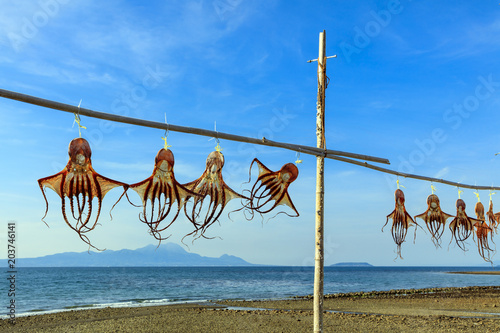 タコの干物