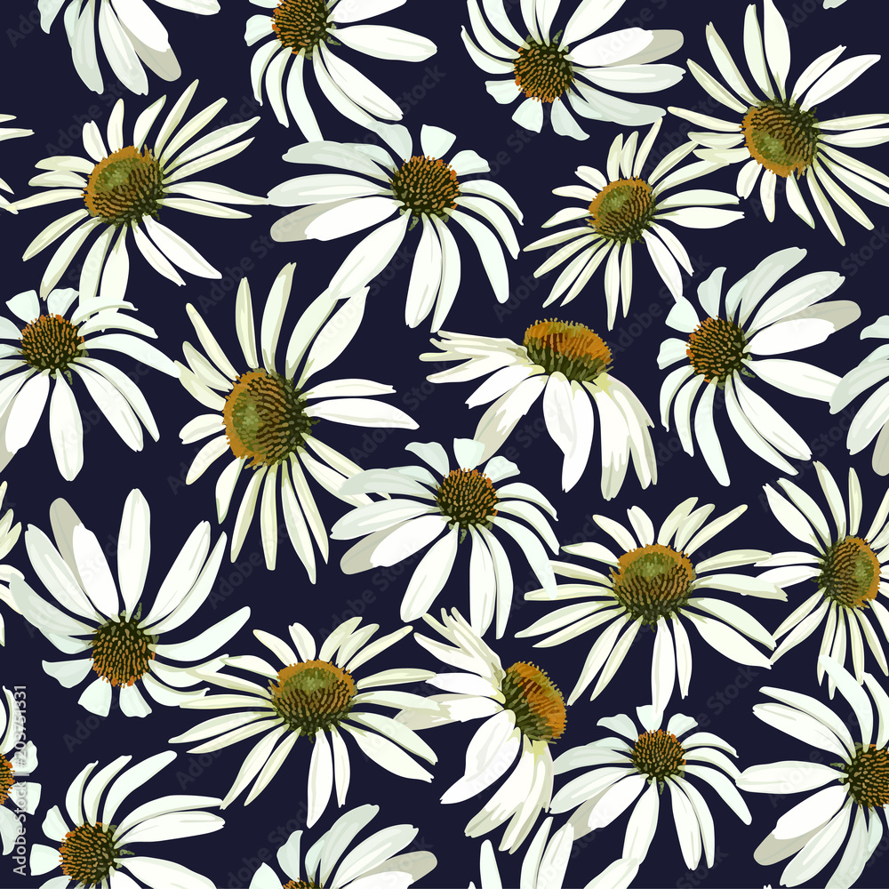 Chamomile flowers. Seamless vector patern with isolated plants. 
