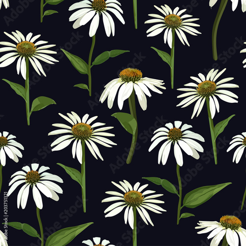 Chamomile flowers and leaves. Seamless vector patern with isolat