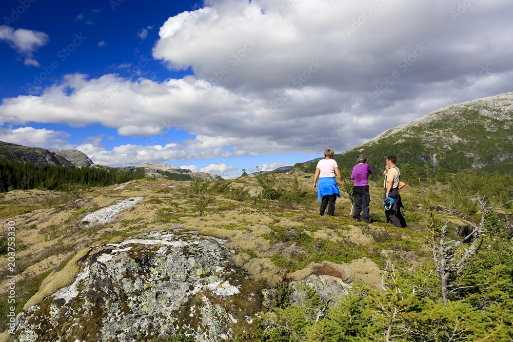 Hiking in Bronnoy  mountain Northern Norway