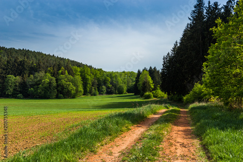 Countryside road in summer field. South Bohemian region. Czech republic.