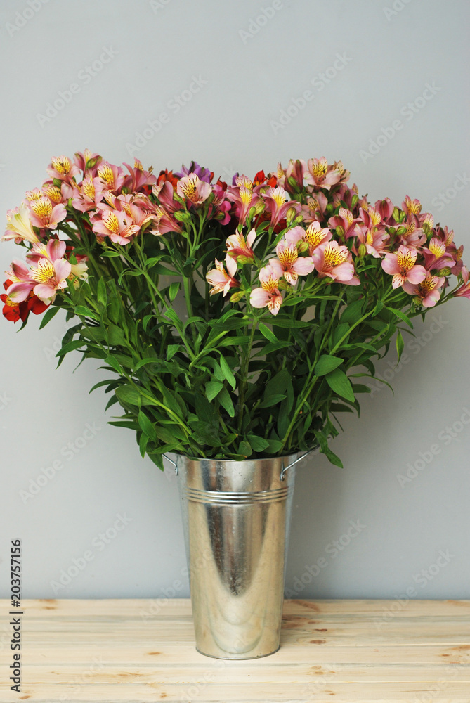 Beautiful Blooming Spring flowers Bouquet with Alstromeria Isolated Gray Background Copy Space Beautiful Blooming Spring flowers Bouquet with Alstromeria Isolated Gray Background Copy Space