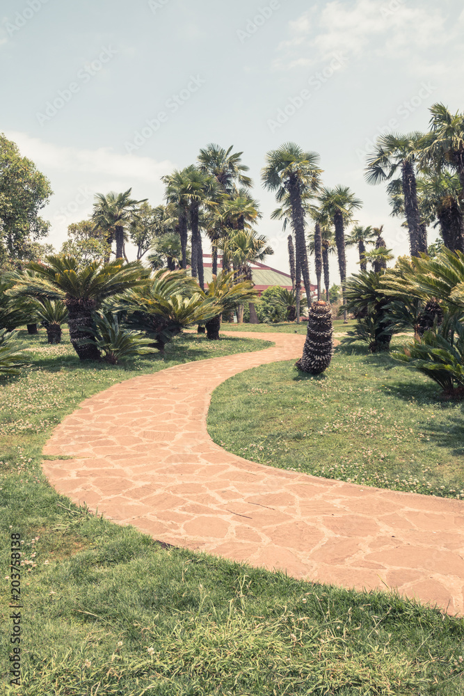 Palm trees and sidewalks