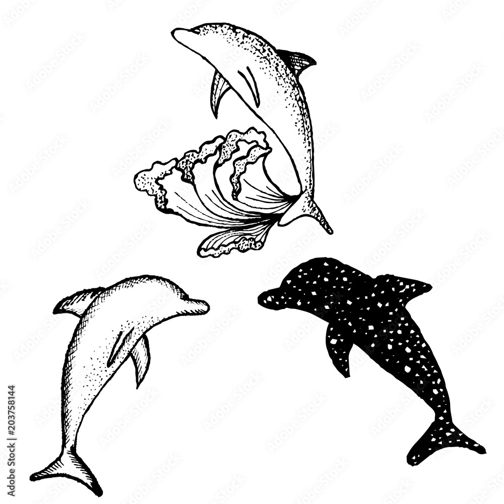 Fototapeta premium Dolphins, black and white pattern, vector illustration