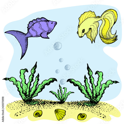 Aquarium fish vector illustration, seaweed, seabed