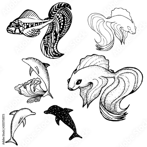 Set fish contour, pattern, example vector illustration, tattoo