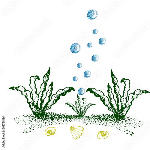 Underwater world, vector illustration, sea bottom
