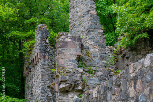 Burgruine photo