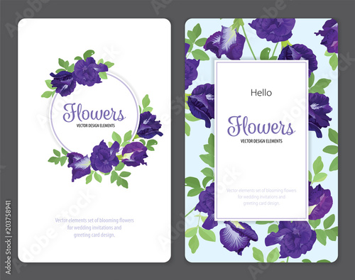 Butterfly pea flowers and leaf on blue background template. Vector set of blooming floral for wedding invitations and greeting card design.