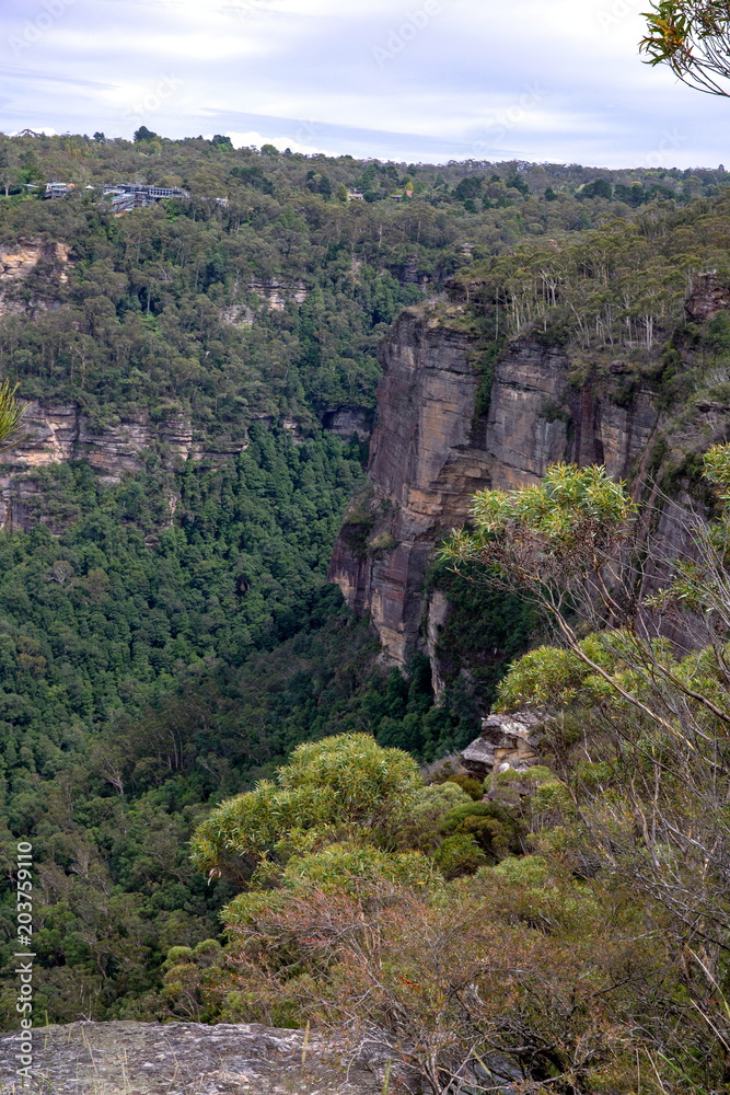 Naklejka premium ブルーマウンテン