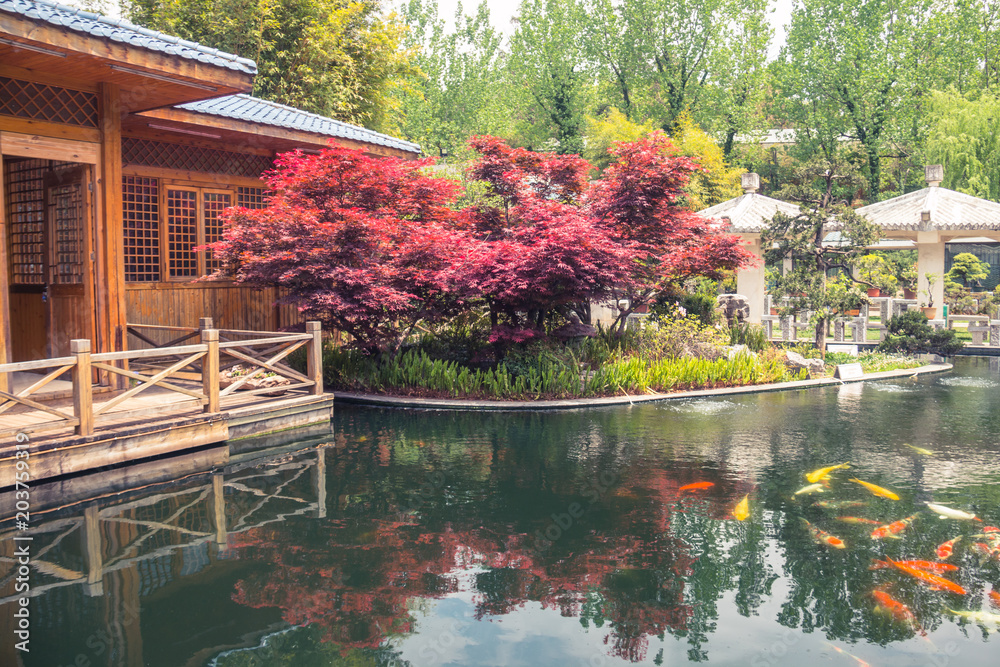 Fototapeta premium Garden in Kunming, Yunnan, China