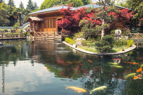 Garden in Kunming, Yunnan, China