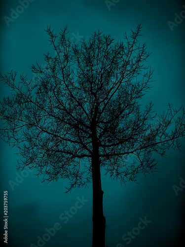 Dark ice tree