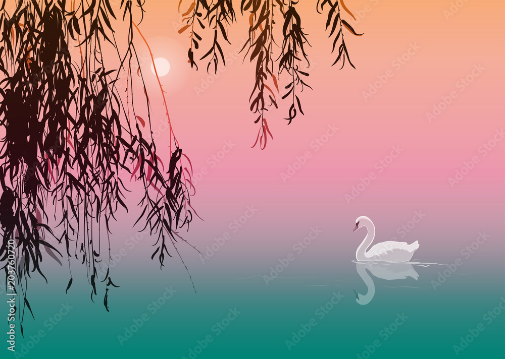 Fototapeta premium background with white swan and willow branches, vector illustration