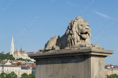 Lion Statue at the Budapest Chain Bridge © tichr
