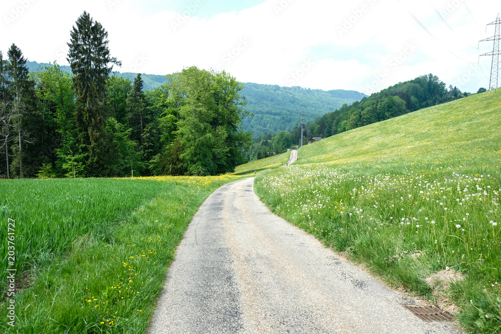 natural landscape in Switzerland during the spring