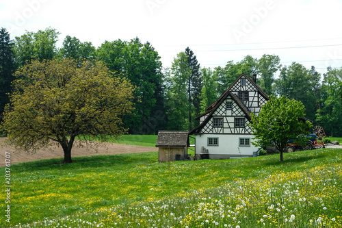 natural landscape in Switzerland during the spring