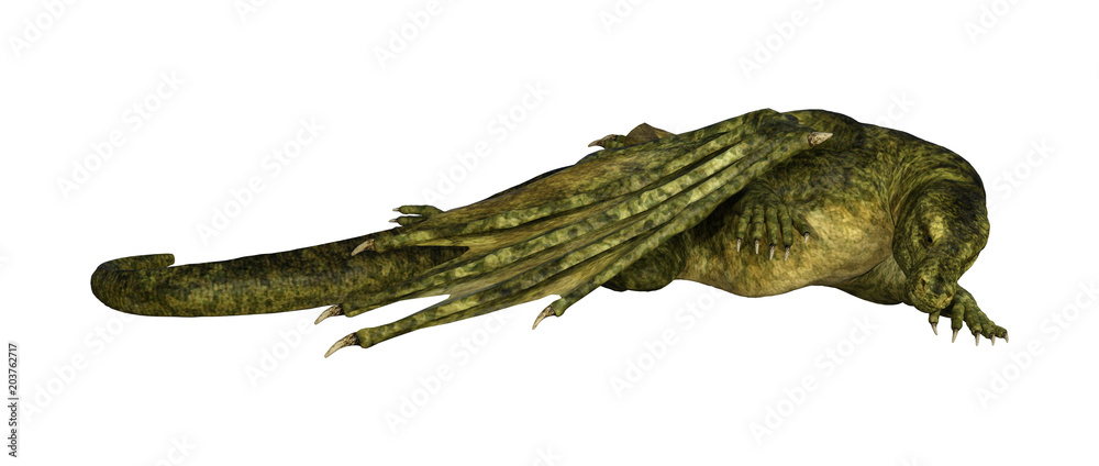Obraz premium 3D Rendering Fantasy Dragon on White