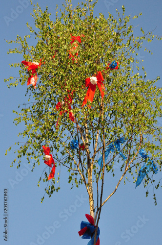 Ein Maibaum oder Pfingstbaum farbenfroh geschmückt photo