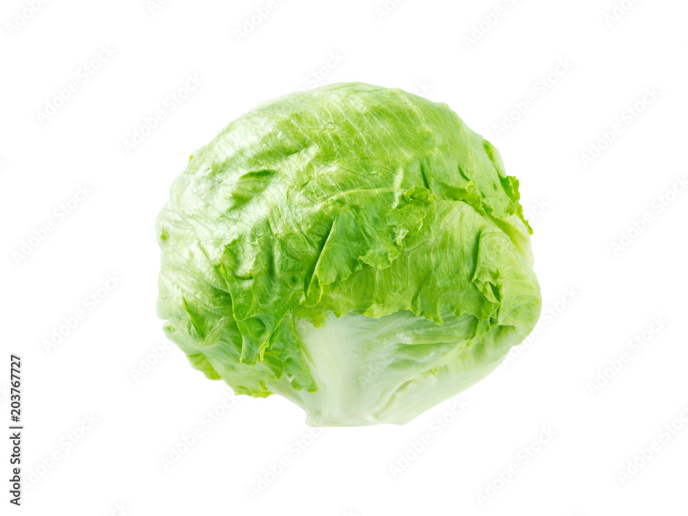 Iceberg lettuce salad head Iceberg lettuce salad head