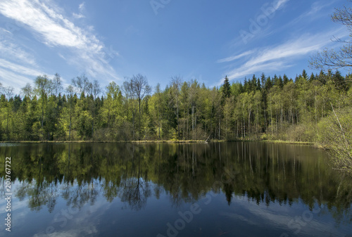 Spring