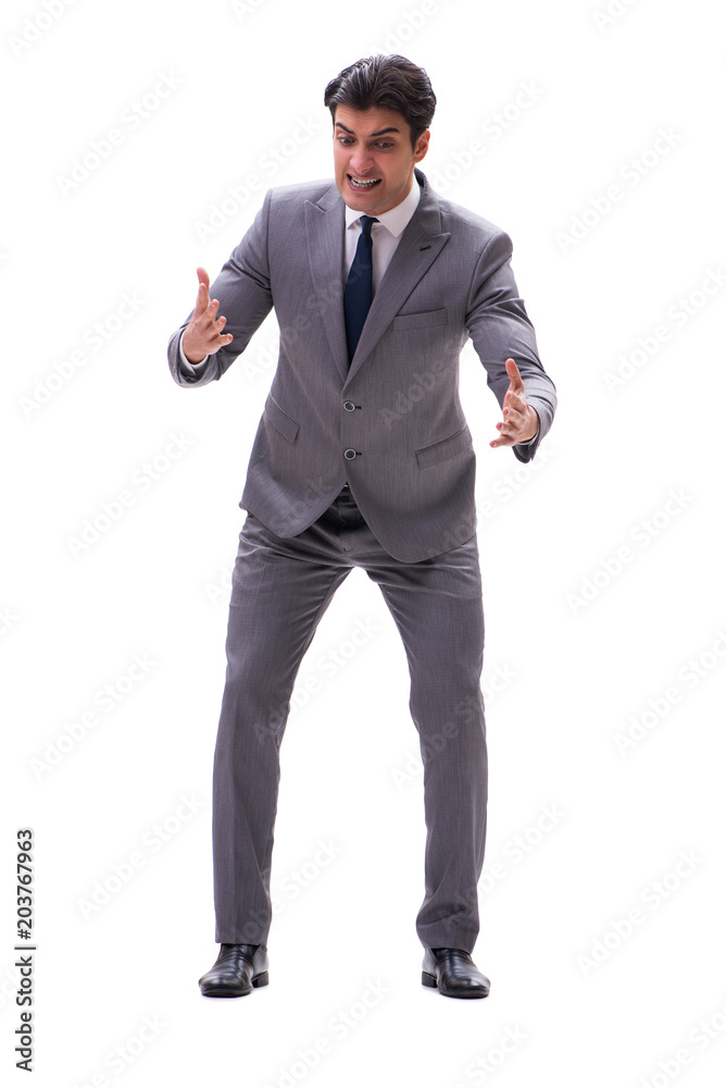 Businessman isolated on the white background