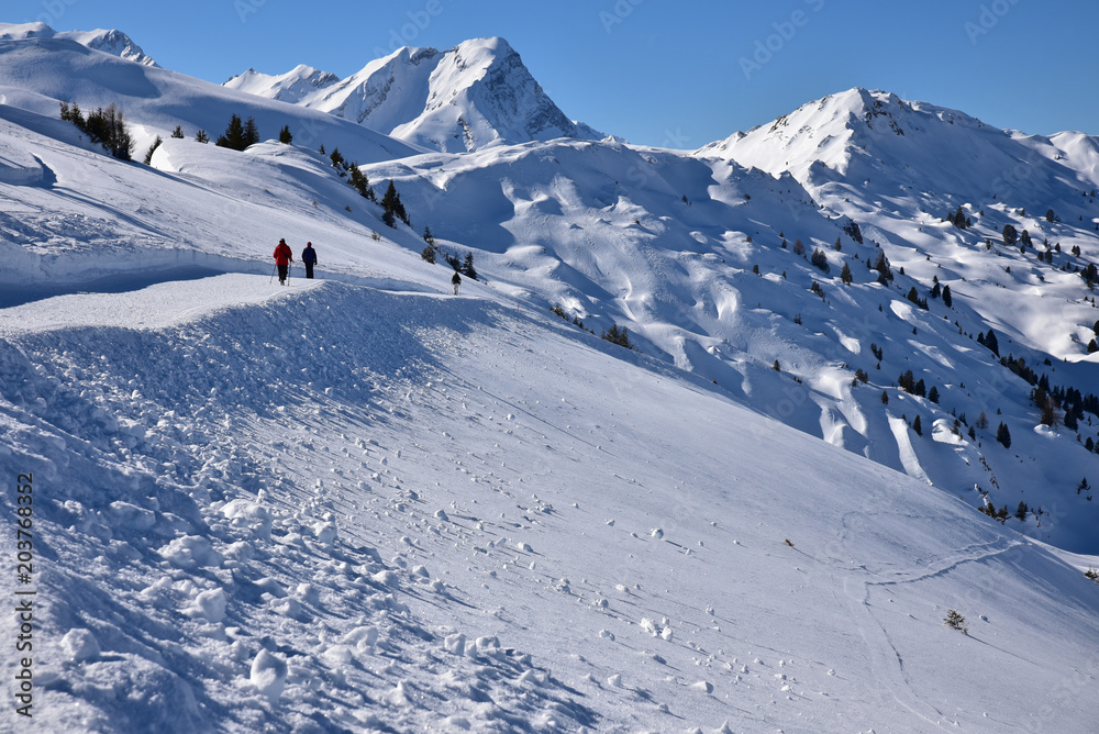 Balade dans l'Oberland bernois en hiver, Suisse