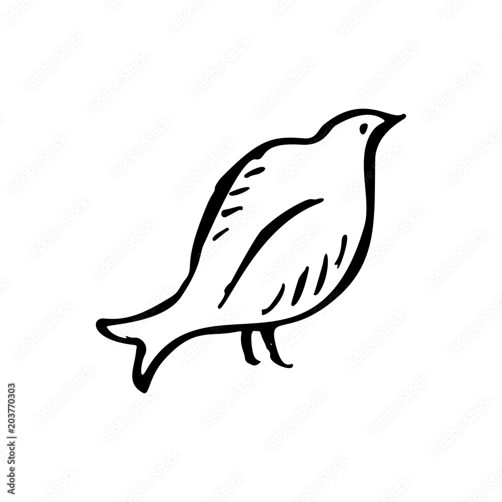 Fototapeta premium Hand sketched bird. Black cut silhouette on a white background. Hand drawn design elements. Vector illustration.