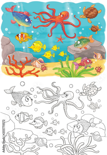 Sea animals. Ocean. Cute fish. Illustration for children. Coloring page.  Cute and funny cartoon characters