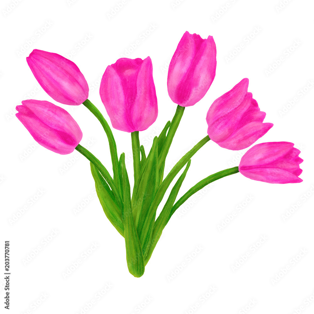 Hand drawn colorful bouquet with tulips flower. Beautiful garden plants in sketch style for design greeting card, package, textile. Cartoon illustration isolated on white background.