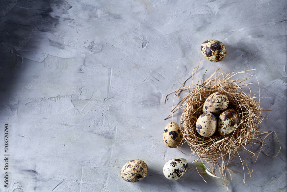 Conceptual still-life with quail eggs in hay nest over grey background, close up, selective focus Conceptual still-life with quail eggs in hay nest over grey background, close up, selective focus