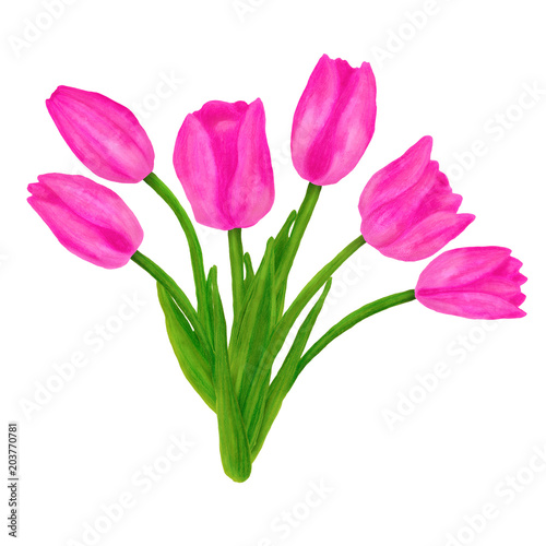 Hand drawn colorful bouquet with tulips flower. Beautiful garden plants in sketch style for design greeting card, package, textile. Cartoon illustration isolated on white background.