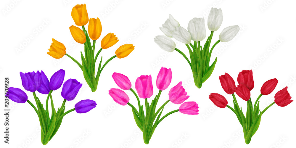 Hand drawn colorful bouquet with tulips flower. Beautiful garden plants in sketch style for design greeting card, package, textile. Cartoon illustration isolated on white background. Hand drawn colorful bouquet with tulips flower. Beautiful garden plants in sketch style for design greeting card, package, textile. Cartoon illustration isolated on white background.