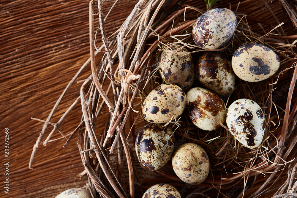 Willow nest with quail eggs on the dark wooden background, top view, close-up, selective focus Willow nest with quail eggs on the dark wooden background, top view, close-up, selective focus